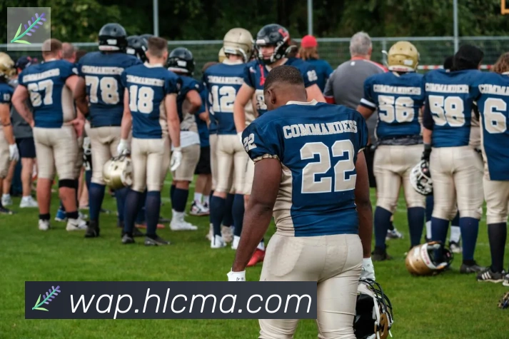 博亚官网平台生态图